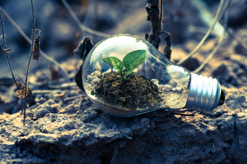 Für die Umwelt